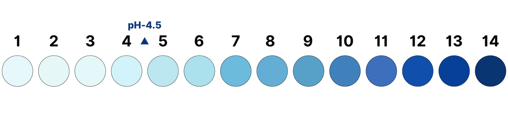 Custom Image