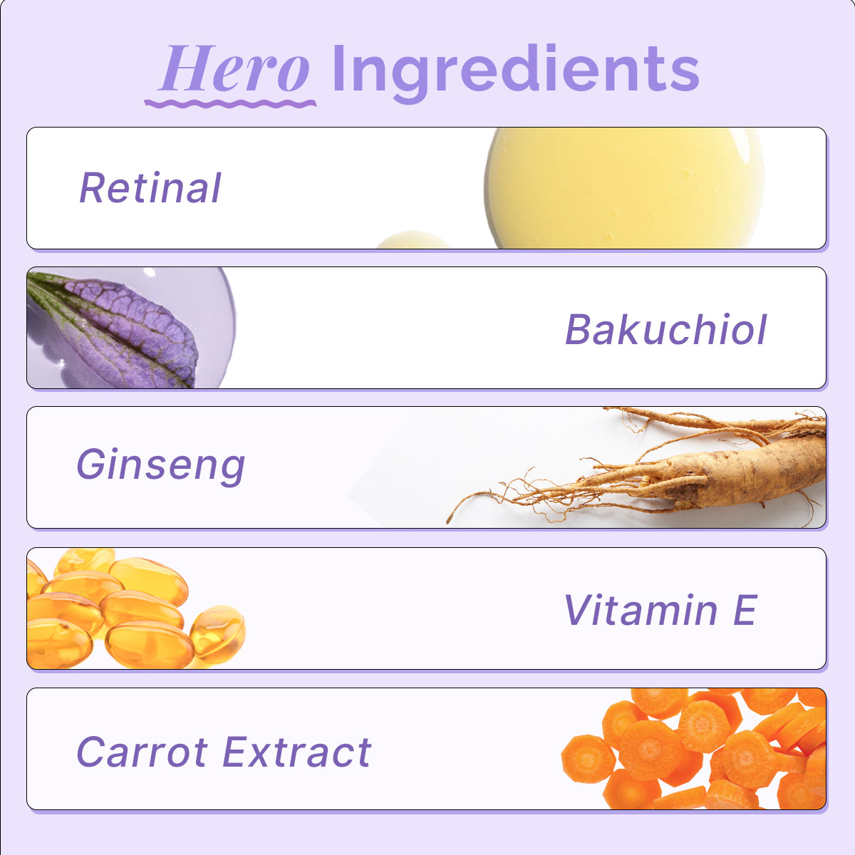 Healthy Kit ( Beginner )